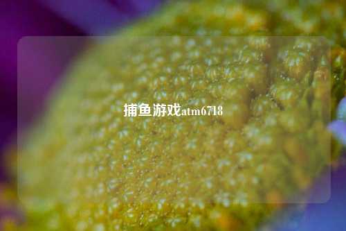 捕鱼游戏atm6718