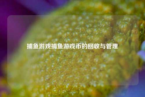 捕鱼游戏捕鱼游戏币的回收与管理
