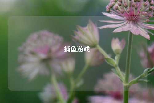 捕鱼游戏