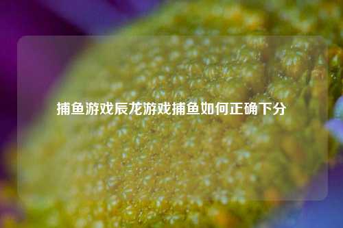 捕鱼游戏辰龙游戏捕鱼如何正确下分