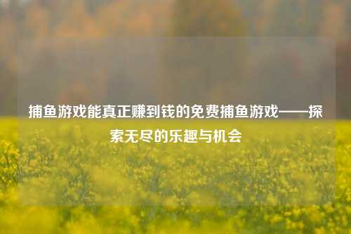 捕鱼游戏能真正赚到钱的免费捕鱼游戏——探索无尽的乐趣与机会