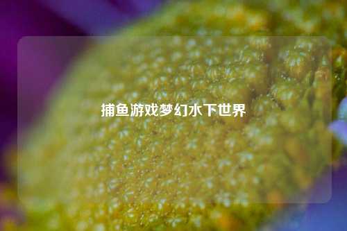 捕鱼游戏梦幻水下世界
