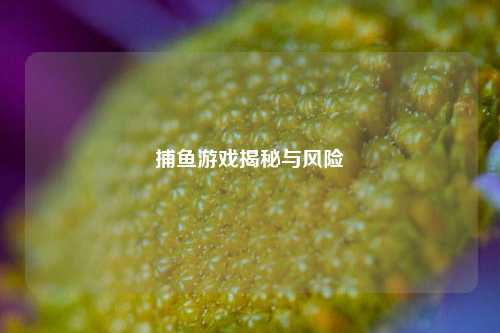 捕鱼游戏揭秘与风险