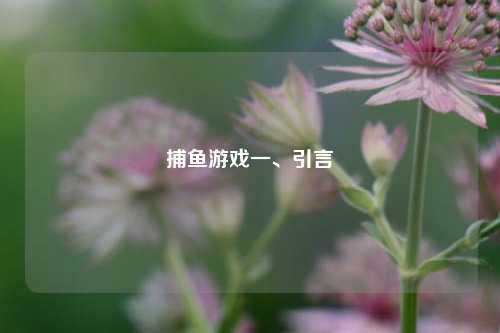 捕鱼游戏一、引言