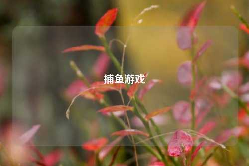 捕鱼游戏