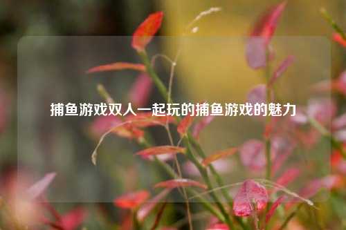 捕鱼游戏双人一起玩的捕鱼游戏的魅力